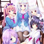 ねこツク、さくら。