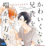 かわいくない兄貴を喘がす方法【CV:石谷春貴、木島隆一】