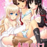 微少女【萌えゲーアワード2010 メディア支持賞金賞 受賞】