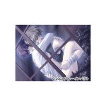 Angel’s Feather 18禁追加ディスク