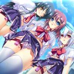 【まとめ買い】ネクストン春の大感謝祭！5本選んで5，000円